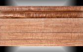 African Bloodwood
